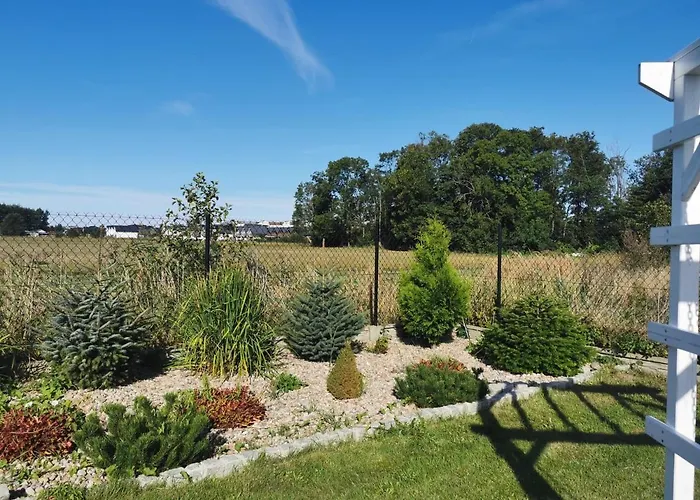 Caloroczne Joni Sarbinowo